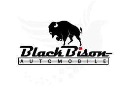 Black Bison