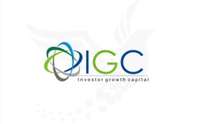 Inverstor Group Capital