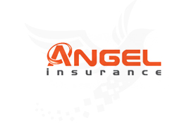 Angel Insurance