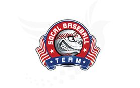 Social Baseball Team