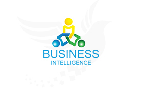 Business Intelligence